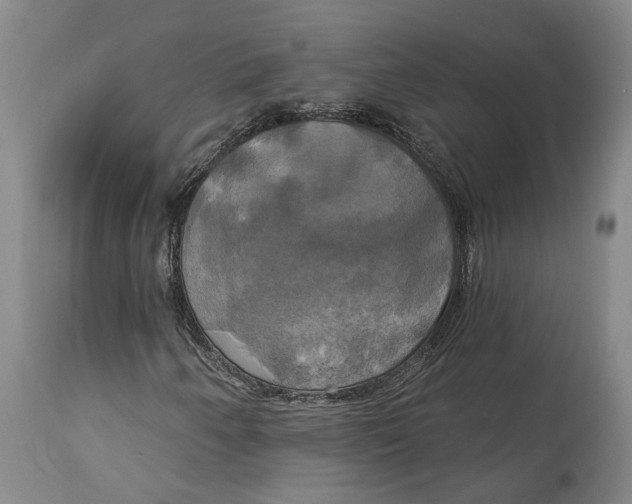 X0000115091250200911171209