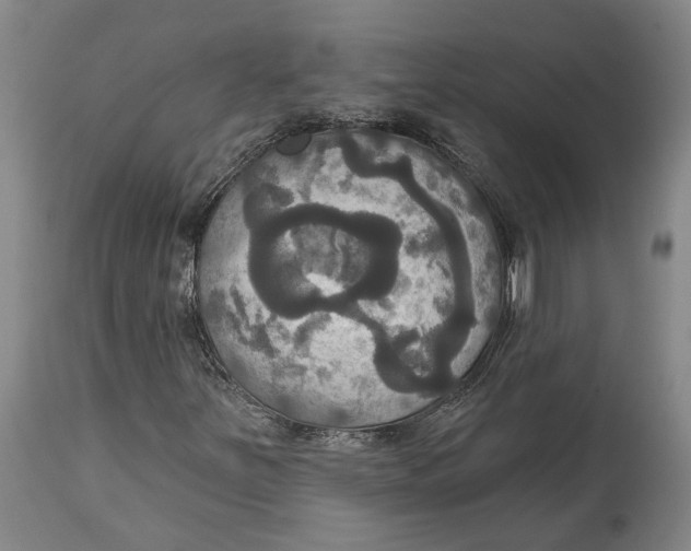 X0000115091251200911171209