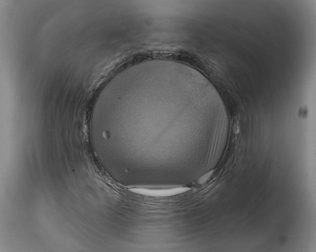 X0000115091252200911171209