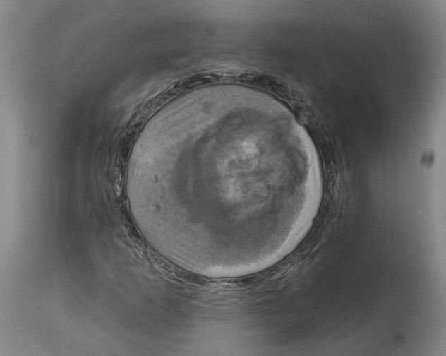 X0000115091253200911171209