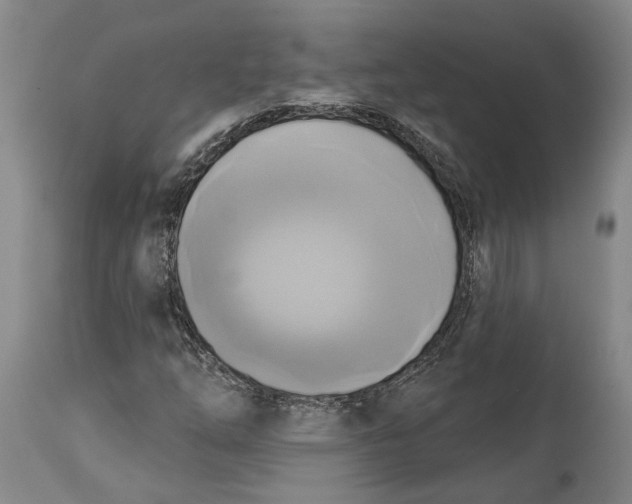 X0000115091254200911171209