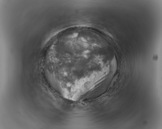X0000115091255200911171209