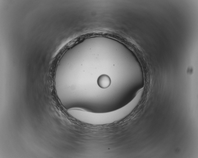 X0000115091256200911171209