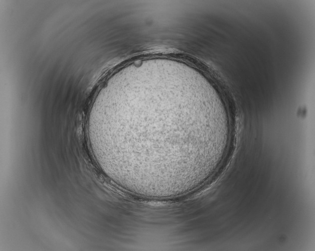 X0000115091257200911171209