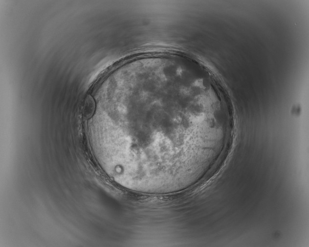 X0000115091259200911171209