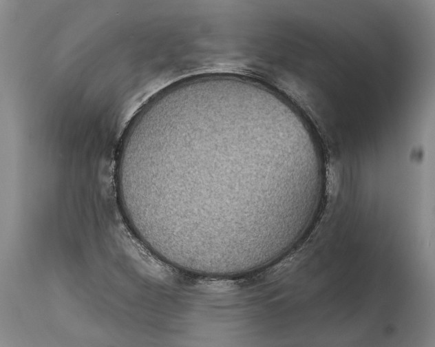 X0000115091260200911171209