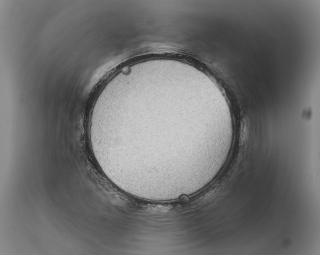 X0000115091261200911171209