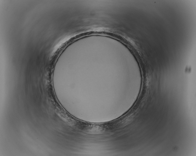 X0000115091263200911171209
