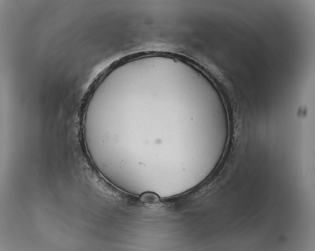 X0000115091264200911171209
