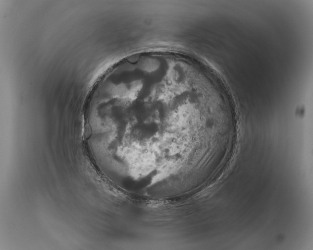 X0000115091267200911171209