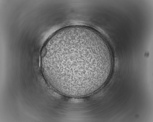X0000115091269200911171209