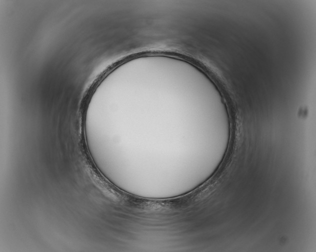 X0000115091270200911171209