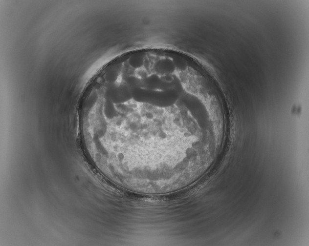 X0000115091271200911171209
