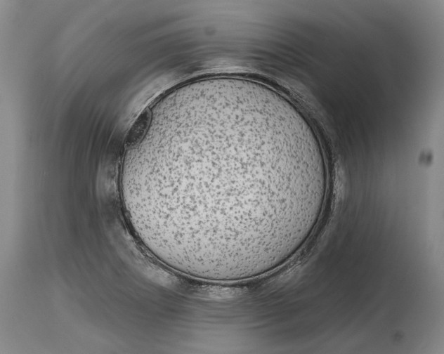 X0000115091273200911171209