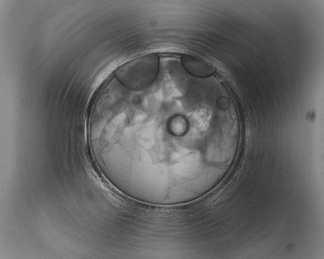 X0000115091274200911171209