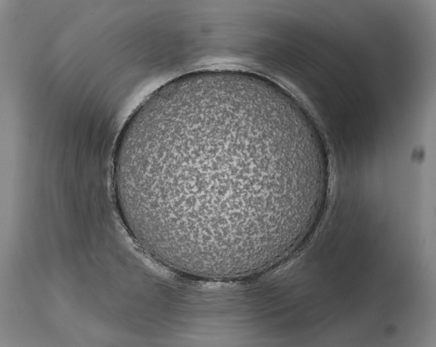 X0000115091277200911171209