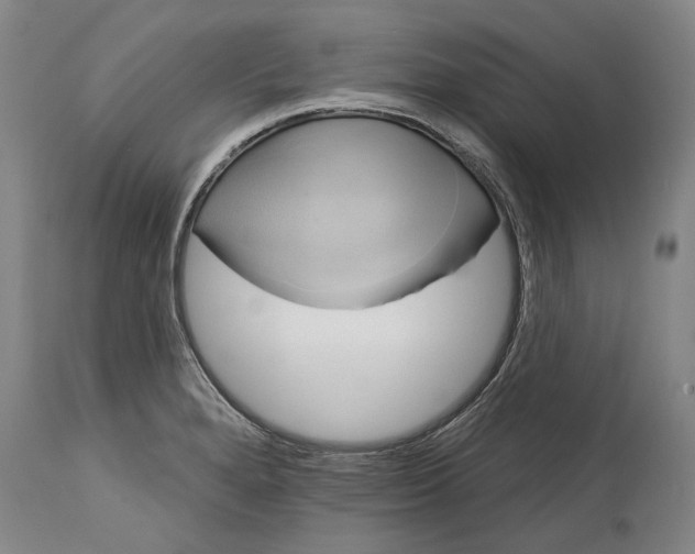 X0000115091280200911171209
