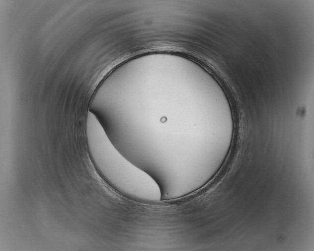 X0000115091281200911171209