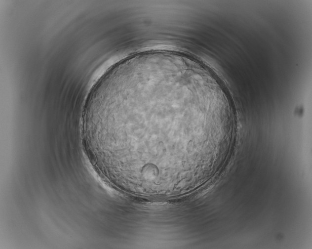 X0000115091282200911171209