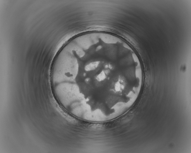 X0000115091283200911171209
