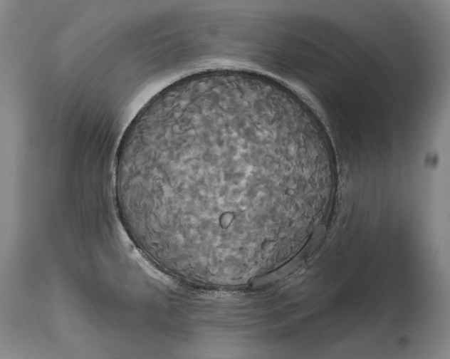 X0000115091287200911171208
