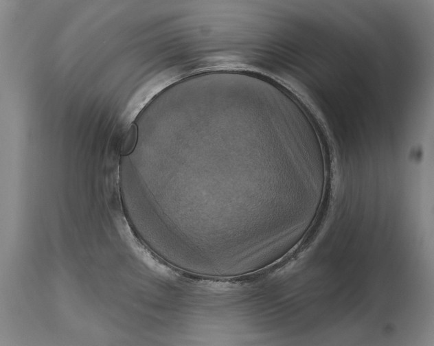 X0000115091289200911171208