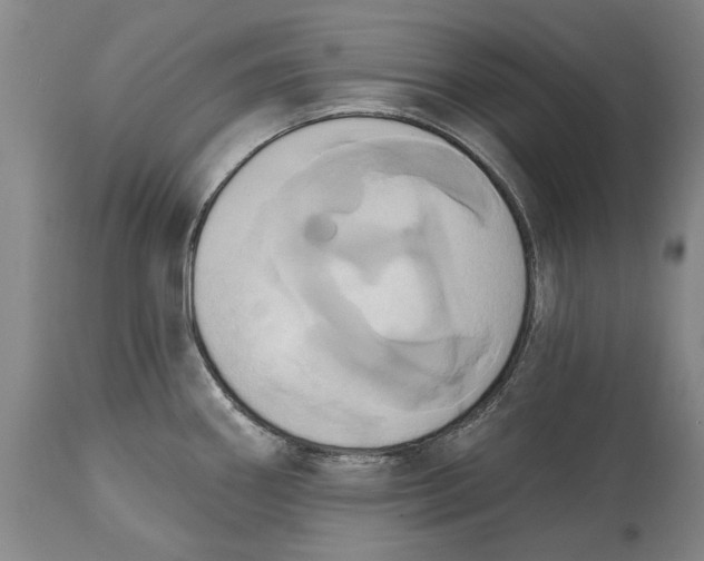 X0000115091290200911171208