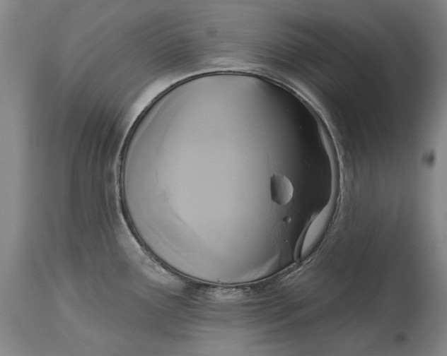 X0000115091291200911171208