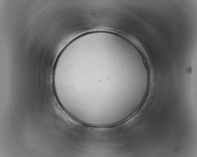 X0000115091292200911171208