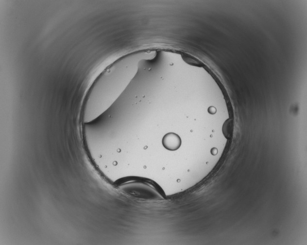 X0000115091293200911171208