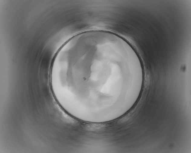 X0000115091294200911171208