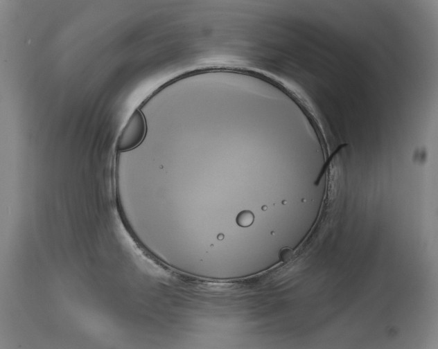 X0000115091295200911171208