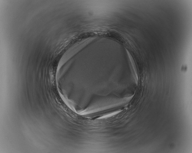 X0000115091298200911171208
