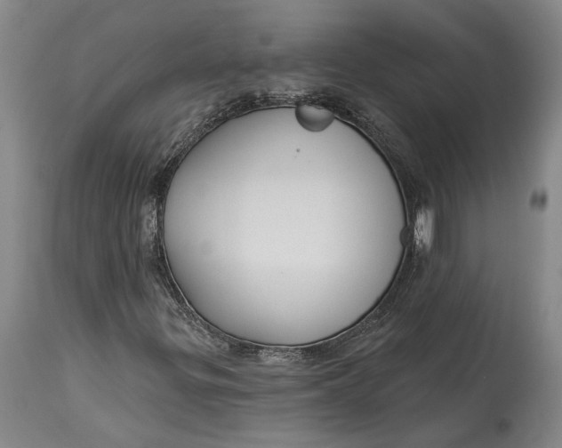 X0000115091299200911171208