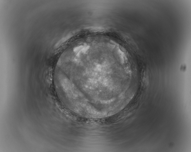 X0000115091301200911171208