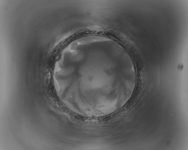 X0000115091302200911171208