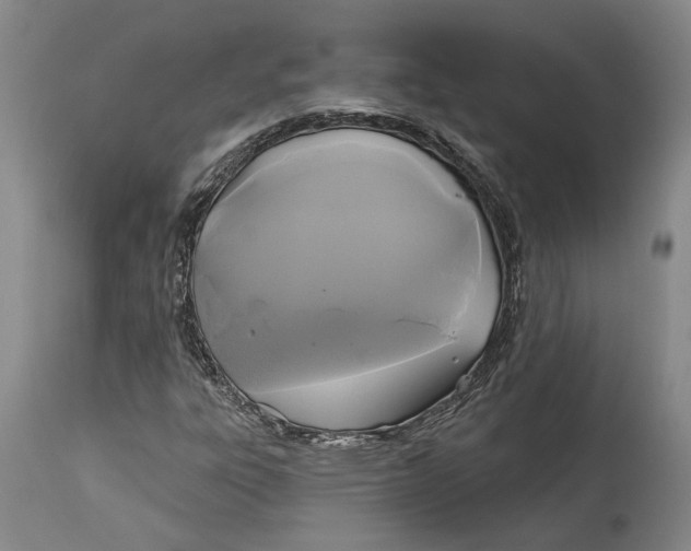X0000115091303200911171208
