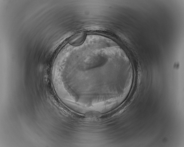 X0000115091305200911171208