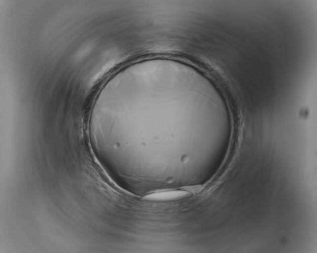 X0000115091306200911171208
