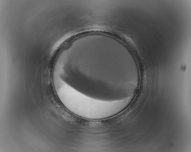 X0000115091310200911171208