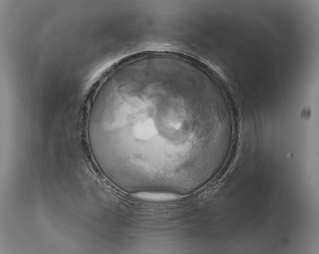 X0000115091311200911171208