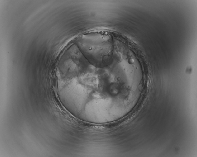 X0000115091313200911171208