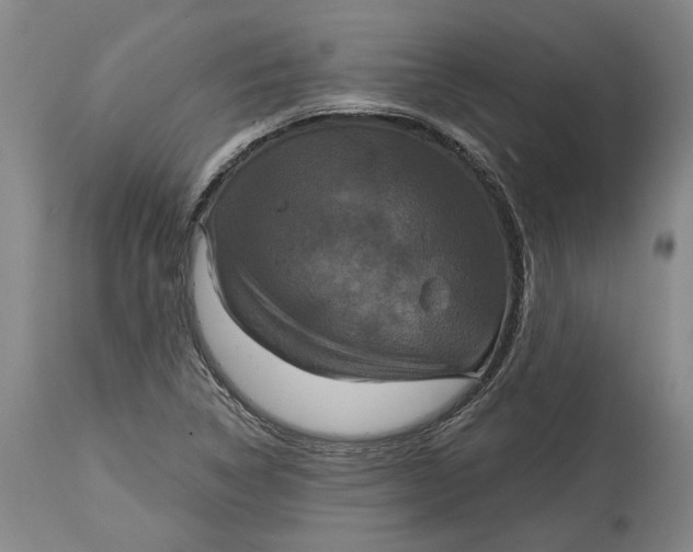 X0000115091314200911171208