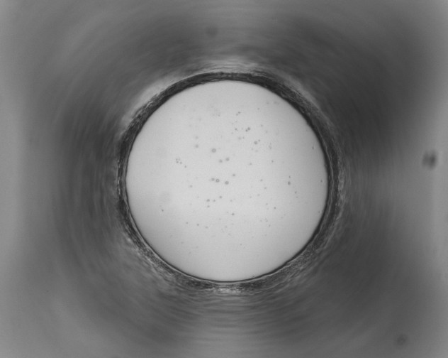 X0000115091315200911171208