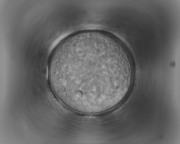 X0000115091317200911171208