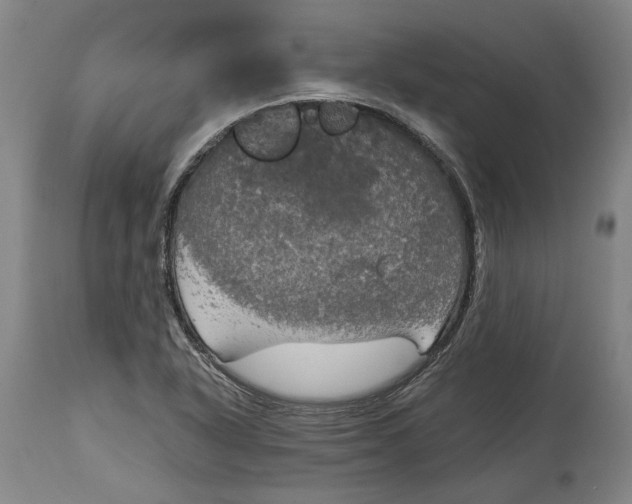 X0000115091318200911171208