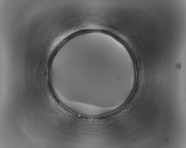 X0000115091319200911171208