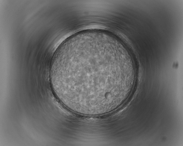 X0000115091321200911171208
