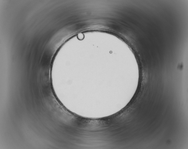 X0000115091322200911171208
