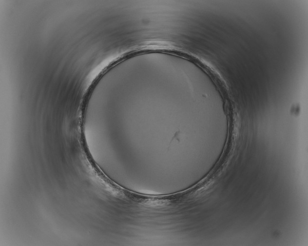 X0000115091325200911171208